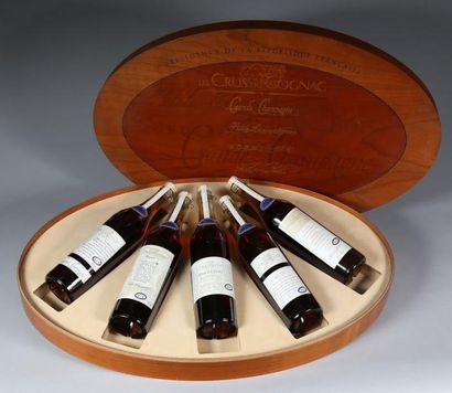 Cognac 1 Coffret de COGNAC L & L COFFRET BOIS DE 5 FLACONS DE 70CL «ASSORTIMENT DES...