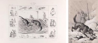 BUFFON / ADAM Collection de tous les animaux entourés de petites scènes représentant...