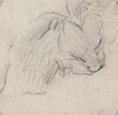 Théodore GERICAULT (1791 - 1824) «Etude de tête de lion dévorant une proie» Crayon...