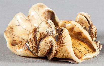 JAPON - XIXE SIÈCLE Netsuke en ivoire à patine jaune, deux grenouilles posées sur...