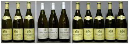 null 11 Bouteilles CHABLIS 1er CRU 3 MONTÉE DE TONNERRE P. TESTUT 1996 5 VOSGROS...