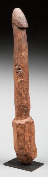 null Phallus cérémoniel en bois de fer patiné par l'usage et le temps. Fon Dahomey,...