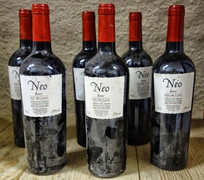 null 6 Bouteilles Espagne - Neo - Ribera del Duero del Duero 2001 

 

Étiquettes...