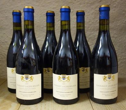 null 6 Bouteilles Nuits St. Georges 1er Cru Les St. Georges 2005 T. Liger Belair