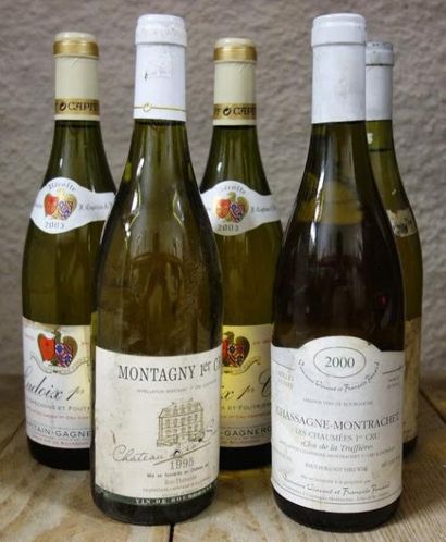 null 5 Bouteilles Vins blancs de Bourgogne: -2 La doix 1er Cru Les Gréchons - Capitain...