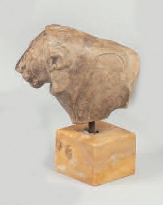 Protomé lion fragmentaire. Calcaire. Égypte,...