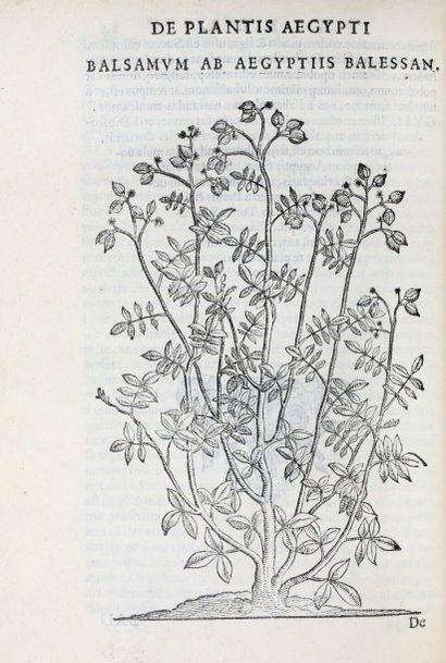 ALPINUS (Prosper) De Medicina aegyptiorum, libri quatuor. [Avec] De Plantis Aegypti...