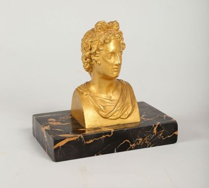 null Eléments d'ornements de meubles en bronze ciselé et doré représentant le portrait...