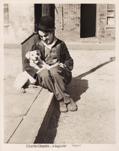  UNE VIE DE CHIEN / A DOG'S LIFE Charles Chaplin dans son film (1918). Épreuve argentique...