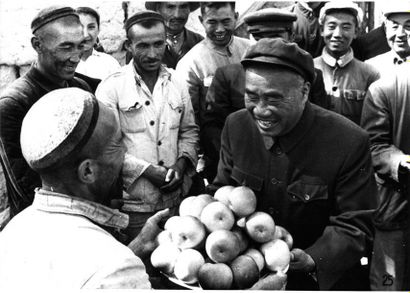 null Ensemble de 14 photographies de propagande: " Les leaders aux champs ". Le Pt...