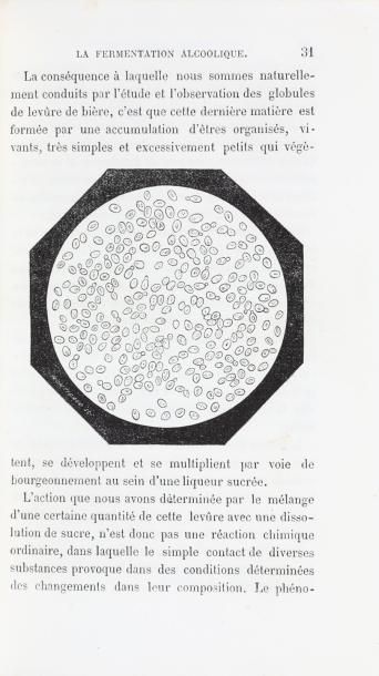 null [VIN] LADREY (Claude) Traité de viticulture et d'oenologie. Paris, Savy, 1872,...