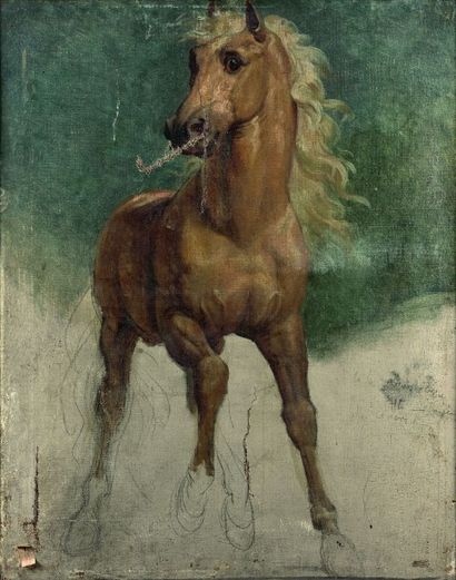 Pascal François GERARD dit BARON GERARD (Rome 1770-Paris 1837) Etude pour le cheval...