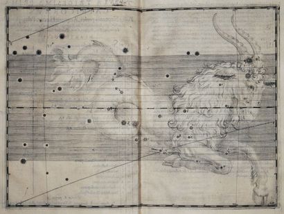 null BAYER (Johannes). Uranometria, omnium asterismorum continens schemata, nova...