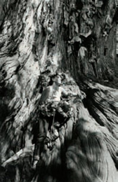 EDOUARD BOUBAT (1923-1999) La femme et l'arbre, c. 1980. Tirage argentique. Tampon...