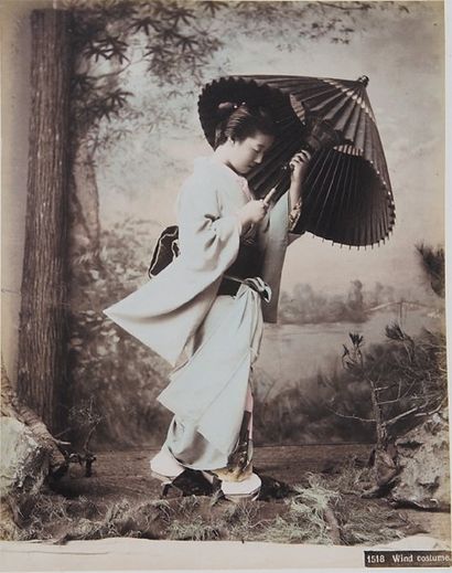 null Japon, 19ème siècle Jardin d'iris, récolte du thé, hara-kiri, costume du vent,...