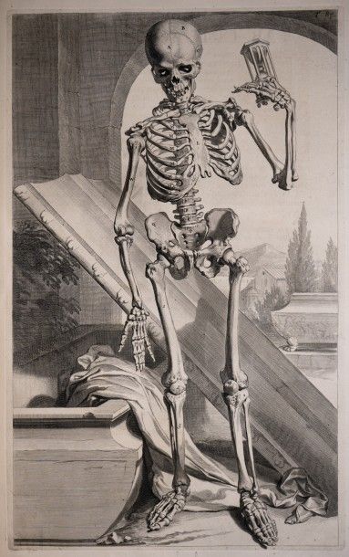 null COWPER (William). Anatomia corporum humanorum centum et viginti tabulis, maxima...