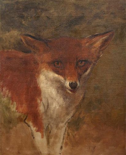 Rosa BONHEUR (1822-1899).
Tête de renard.
Huile...