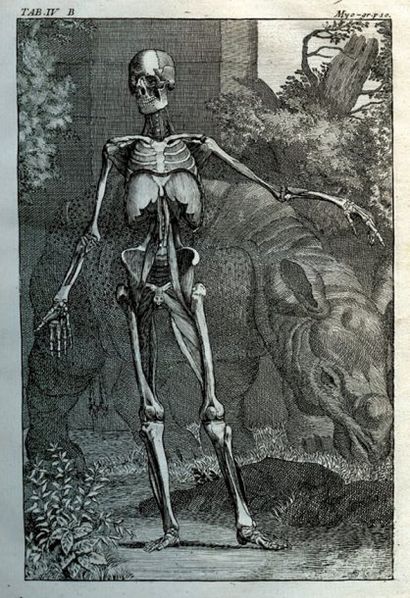 TARÍN, PIERRE yographie, ou Description des muscles. Paris, Briasson, 1753. 1 volume...
