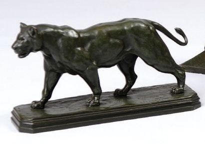 Prosper LECOURTIER (1855-1924). « Lionne marchant ». Sculpture en bronze à patine...