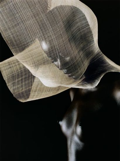 Bruno Fabbris (né en 1960) Jeune femme au voile II, 2002. (Issu de l'exposition Corps...