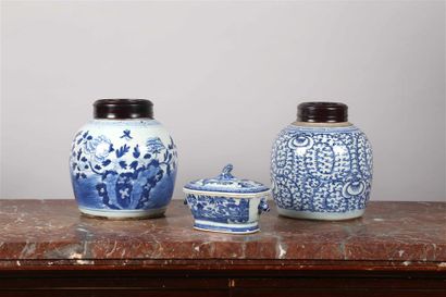 null CHINE.
Deux pots à gingembre en porcelaine à décor en camaïeu bleu de
pivoines...