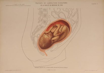 TESTUT (L.) et BLANC (E.). Anatomie de l'utérus...