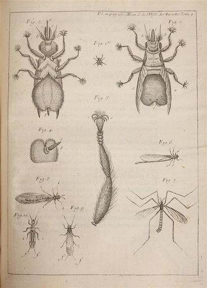 null RÉAUMUR (R.A. Ferchault de). Mémoires pour servir à l'Histoire des Insectes....