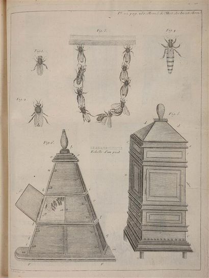 null RÉAUMUR (R.A. Ferchault de). Mémoires pour servir à l'Histoire des Insectes....