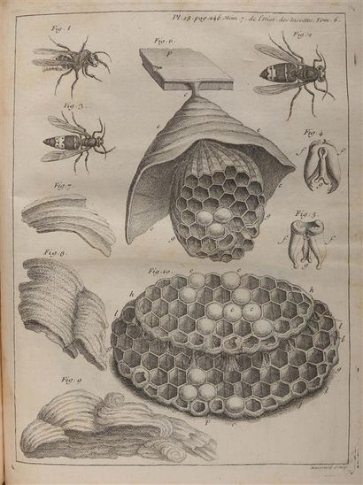 null RÉAUMUR (R.A. Ferchault de). Mémoires pour servir à l'Histoire des Insectes....