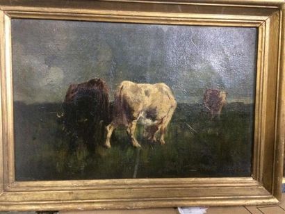 null CALVIS?
Vaches dans un champs.
Huile sur toile signée en bas à droite.
28 x...