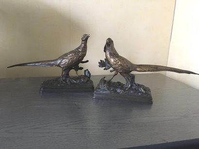 null Alfred DUBUCAND (1828-1894).
Couple de faisans.
Deux bronzes patinés.
Signés.
H....