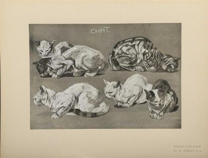 null MÉHEUT (Mathurin). Etudes d'animaux. Sous la direction de E. Grasset. Paris,...