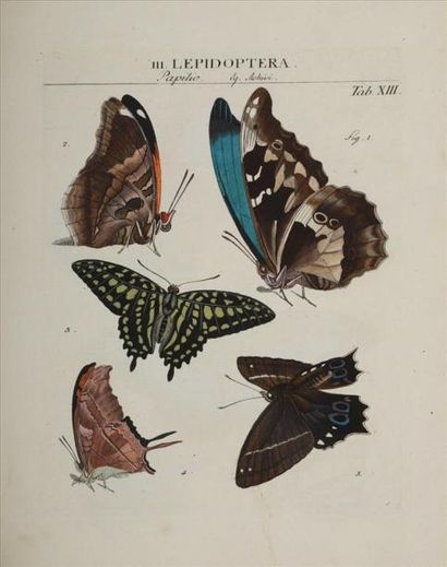 null [Entomologie]. ROEMER (Johann Jacob). Genera insectorum Linnaei et Fabricii...