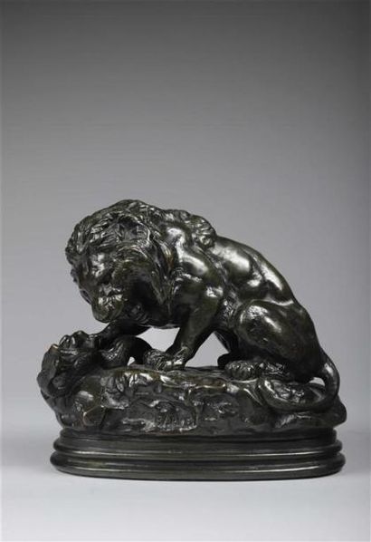 null D'après Barye :
Lion au serpent (Lion des Tuileries).
Épreuve en bronze à patine...