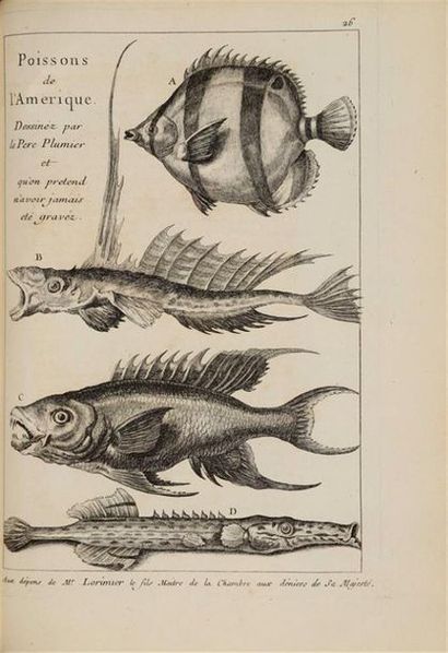 null [DEZALLIER d'ARGENVILLE (Antoine-Joseph)]. L'histoire naturelle éclaircie dans...