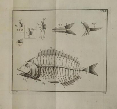 null GOÜAN (Antoine). Historia piscium (...) Histoire des poissons (...). À Strasbourg,...