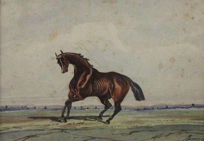 null Johnny AUDY (act. 1850-1880).
Deux cavaliers.
Deux aquarelles dans un même encadrement...