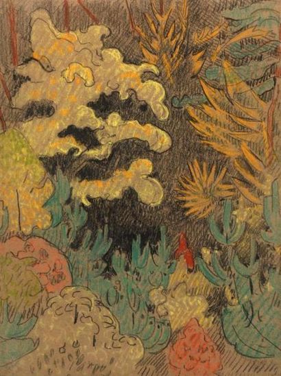  ** Paul SÉRUSIER (1864-1927). Fougères, 1899. Crayons noir et de couleurs portant...