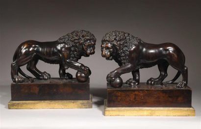 Paire de lions formant pendant en bronze...