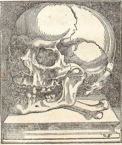 VESLING, JOANNES Syntagma Anatomicum. Konstige Ontledingh des Menschelijken Lichaems...