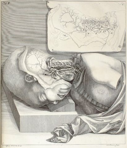 HALLER, ALBERT DE Icones anatomicae quibus praecipuae aliquae partes corporis humani...