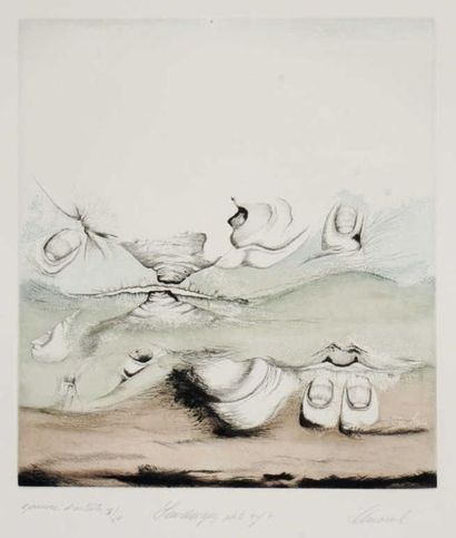 null AMARAL (Jim). Landscapes. Le Soleil noir, 1977. 7 eaux-fortes imprimées en couleurs,...