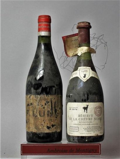 null LOT de 2 bouteilles VINS DIVERS : 
1 BOURGOGNE RESERVE DE LA CHEVRE NOIRE 1990....