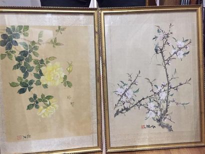 null CHINE :
Branches fleuries et insectes.
Deux aquarelles sur soie.
D. : 49 x 33,5...