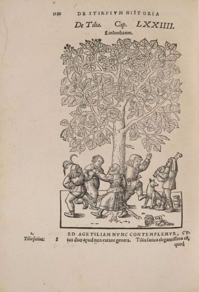 [Livre illustré du XVIe siècle]. [Botanique]....