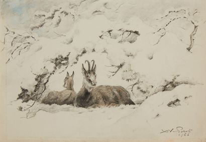  de PORET Xavier (1894-1975) 
Chamois allongés dans la neige 
Fusain et crayon de... Gazette Drouot
