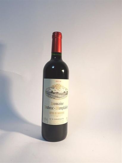 null 1 bouteille Domaine DUBOSQ-MONPLAISIR, Côtes de Gascogne, 2014