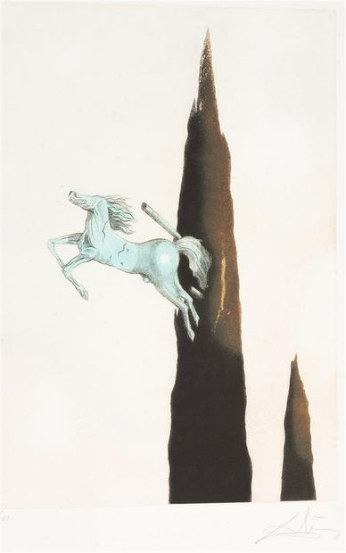 Salvador Dali (1904-1989) Salvador Dali (1904-1989)

After Salvador Dali, color set... Gazette Drouot