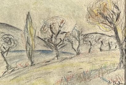  Auguste CHABAUD (1882-1955). Paysage arboré. Pastels et crayons sur papier, signé... Gazette Drouot
