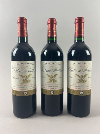 null MOULIS EN MEDOC
Château Anthonic, 1995.
3 bouteilles.
Niveaux goulot.
Légère...